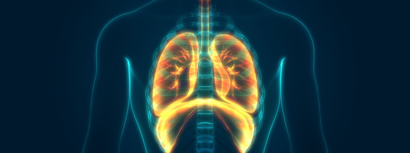 Increase in Respiratory Diseases